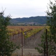 Napa 038 : Napa